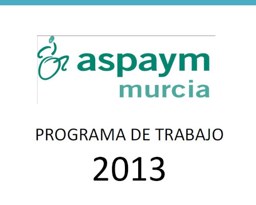 enlace a Programa de Trabajo 2013