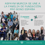 Fundación pro bono